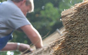 professional Trenance thatchers